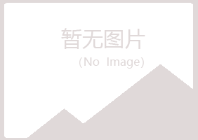 禹城夏岚采矿有限公司